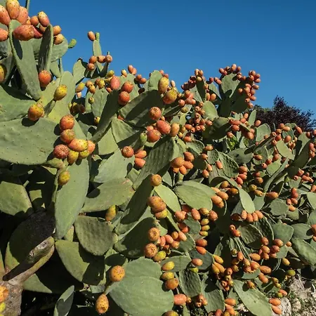 Casa vacanze Da Già By Trullicervarolo *