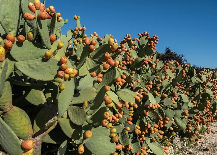 Casa vacanze Da Già By Trullicervarolo *
